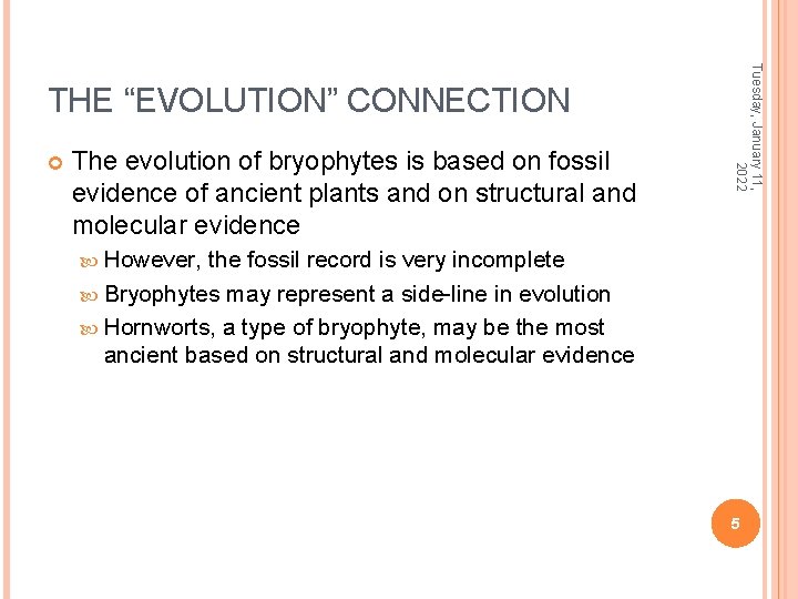  The evolution of bryophytes is based on fossil evidence of ancient plants and