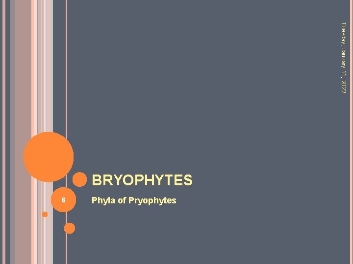 Tuesday, January 11, 2022 BRYOPHYTES 6 Phyla of Pryophytes 