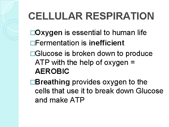 CELLULAR RESPIRATION �Oxygen is essential to human life �Fermentation is inefficient �Glucose is broken