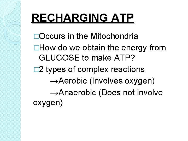 RECHARGING ATP �Occurs in the Mitochondria �How do we obtain the energy from GLUCOSE