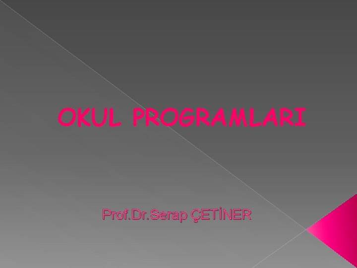 OKUL PROGRAMLARI Prof. Dr. Serap ÇETİNER 
