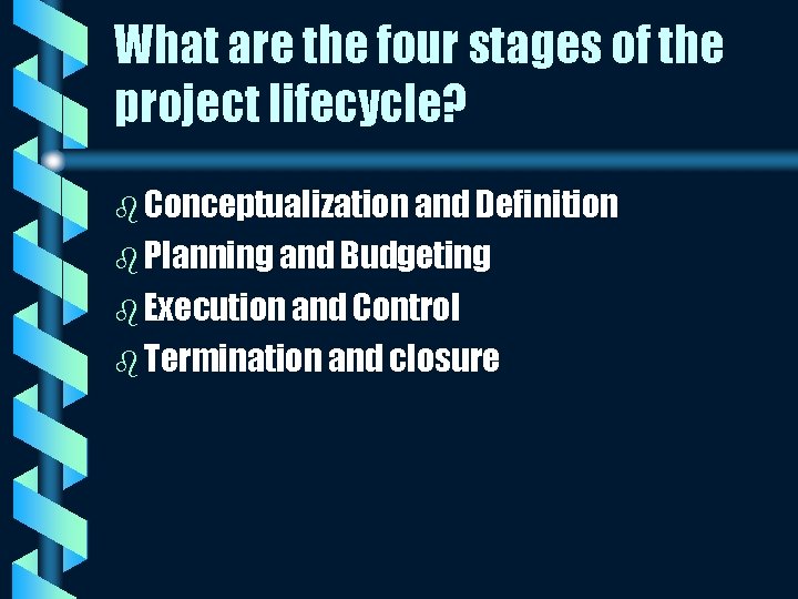 What are the four stages of the project lifecycle? b Conceptualization and Definition b