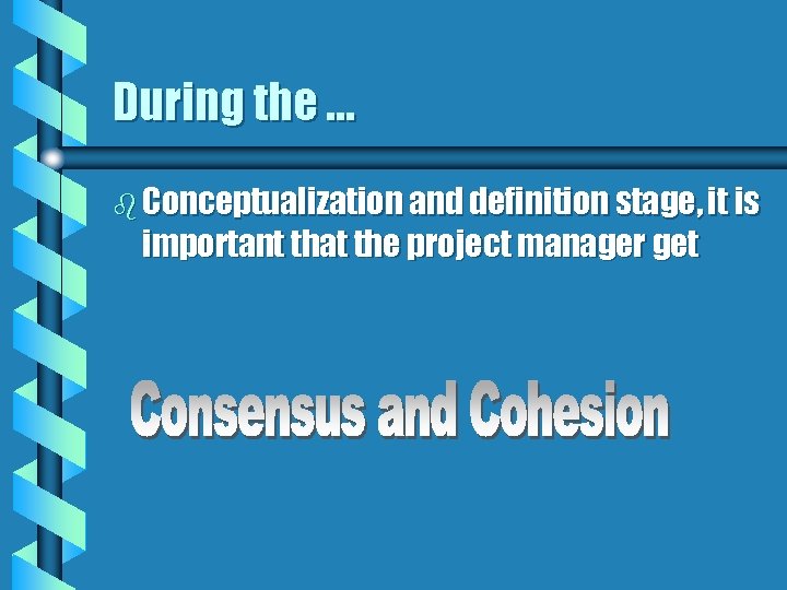 During the … b Conceptualization and definition stage, it is important that the project