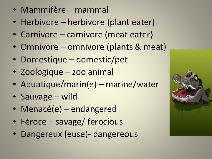  • • • Mammifère – mammal Herbivore – herbivore (plant eater) Carnivore –