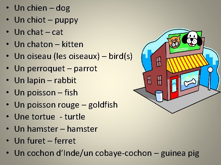  • • • • Un chien – dog Un chiot – puppy Un