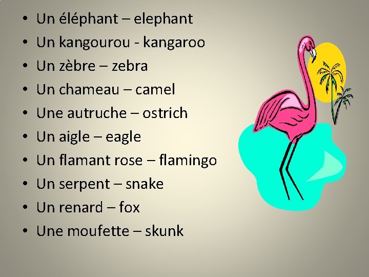  • • • Un éléphant – elephant Un kangourou - kangaroo Un zèbre