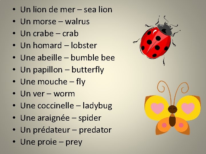  • • • Un lion de mer – sea lion Un morse –