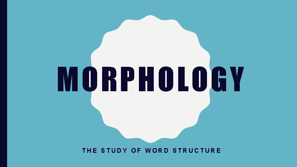 MORPHOLOGY THE STUDY OF WORD STRUCTURE 