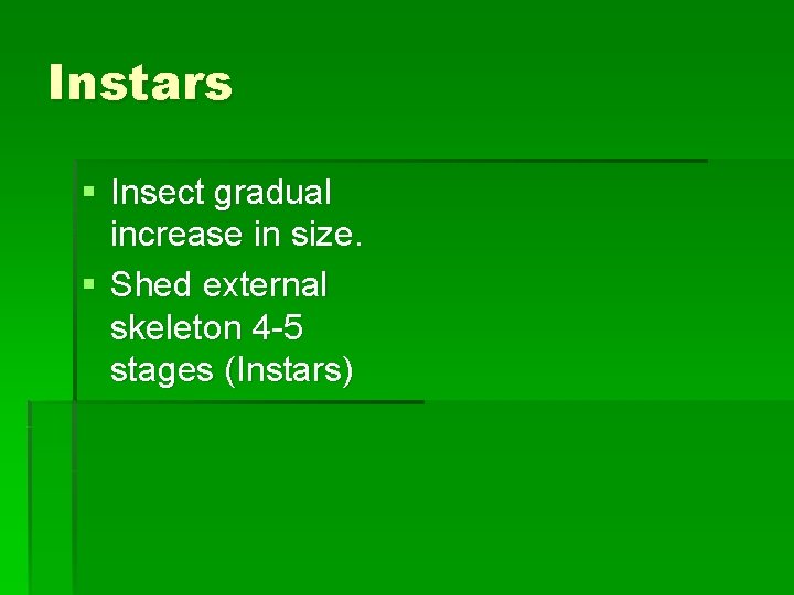 Instars § Insect gradual increase in size. § Shed external skeleton 4 -5 stages Instars § Insect gradual increase in size. § Shed external skeleton 4 -5 stages
