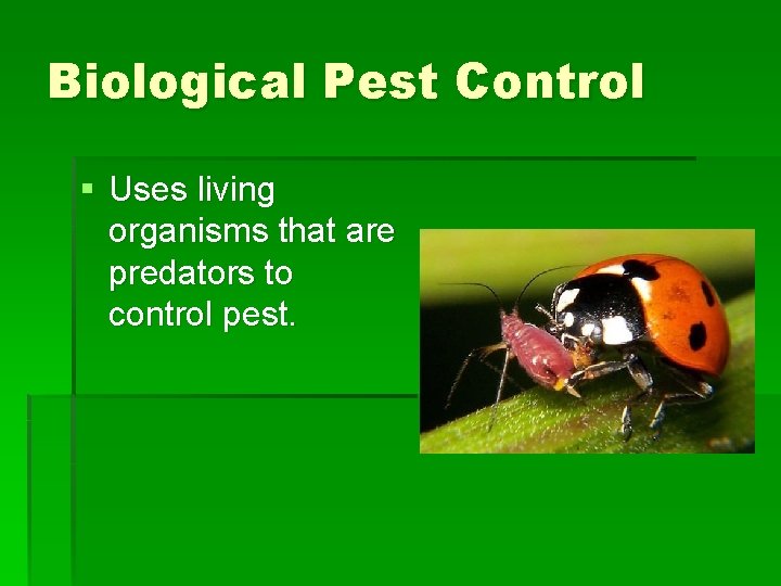 Biological Pest Control § Uses living organisms that are predators to control pest. Biological Pest Control § Uses living organisms that are predators to control pest.