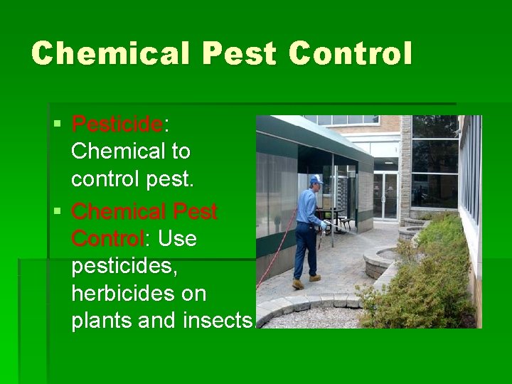 Chemical Pest Control § Pesticide: Chemical to control pest. § Chemical Pest Control: Use Chemical Pest Control § Pesticide: Chemical to control pest. § Chemical Pest Control: Use
