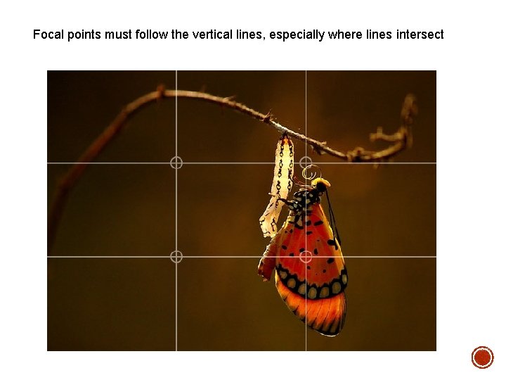 Focal points must follow the vertical lines, especially where lines intersect 