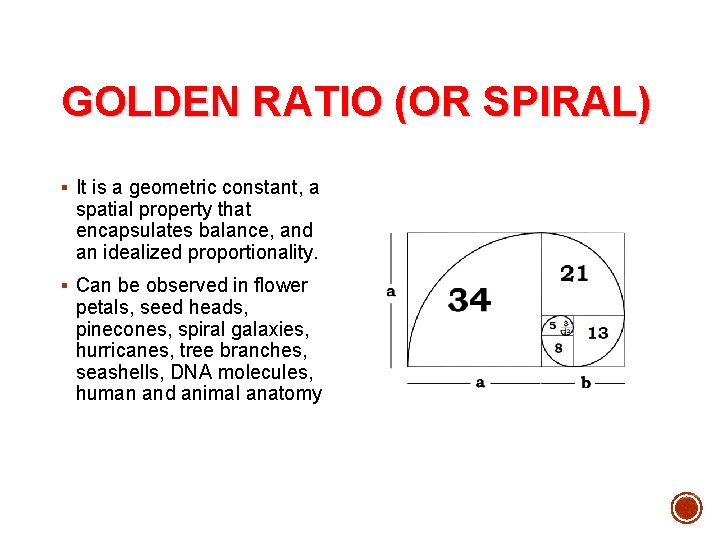 GOLDEN RATIO (OR SPIRAL) § It is a geometric constant, a spatial property that