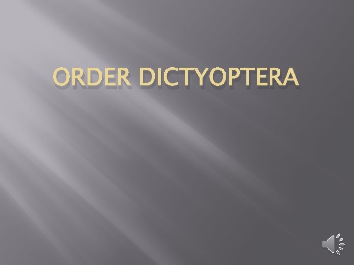 ORDER DICTYOPTERA 