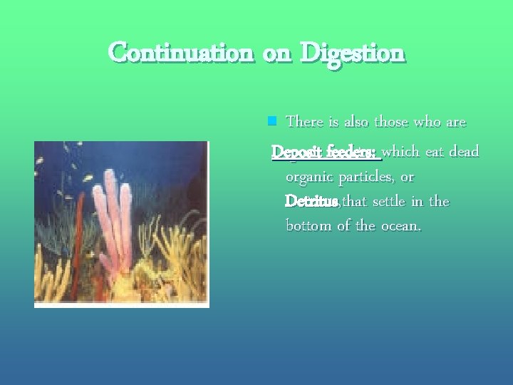 Continuation on Digestion There is also those who are Deposit feeders: which eat dead