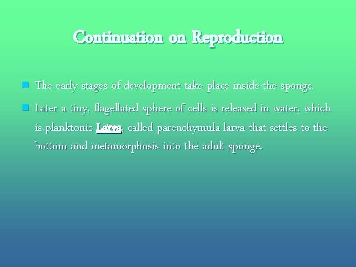 Continuation on Reproduction n n The early stages of development take place inside the