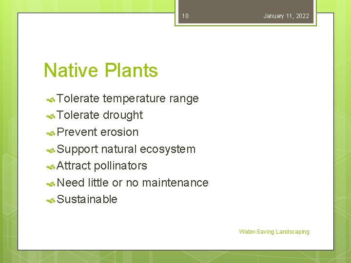 10 January 11, 2022 Native Plants Tolerate temperature range Tolerate drought Prevent erosion Support