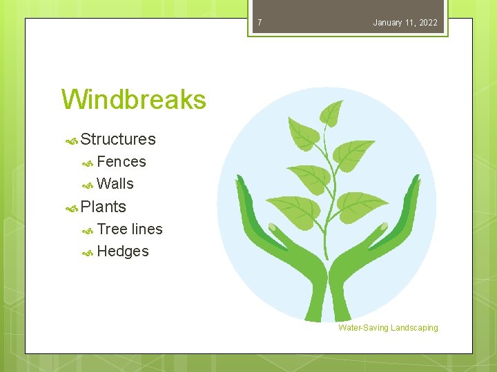 7 January 11, 2022 Windbreaks Structures Fences Walls Plants Tree lines Hedges Water-Saving Landscaping