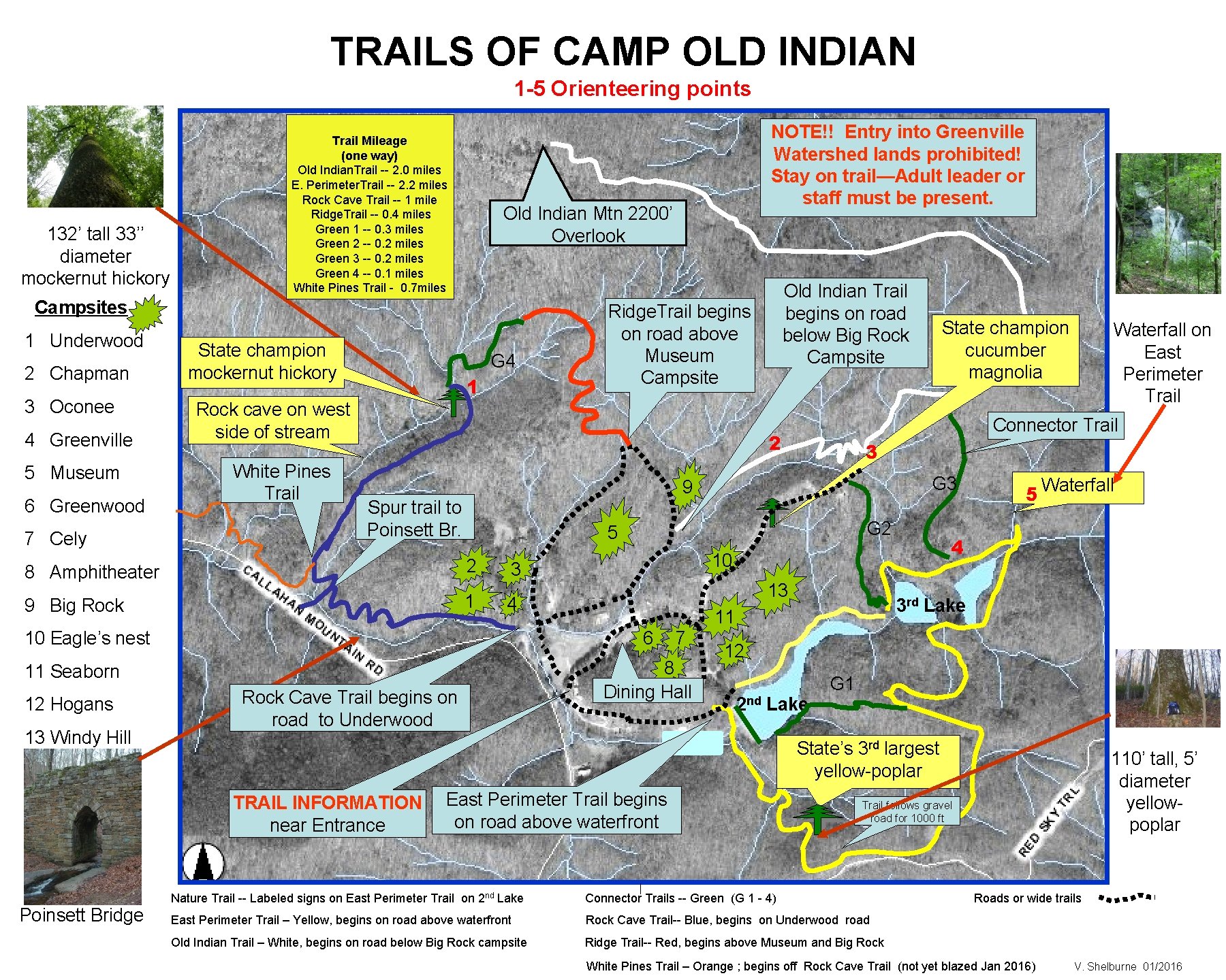 TRAILS OF CAMP OLD INDIAN 1 -5 Orienteering points 132’ tall 33’’ diameter mockernut