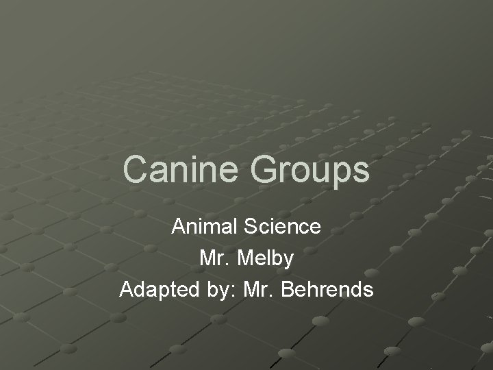 Canine Groups Animal Science Mr. Melby Adapted by: Mr. Behrends 