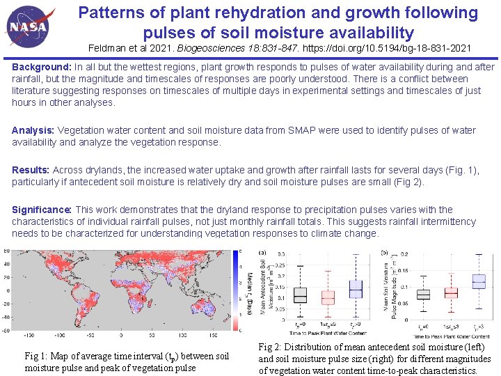 Patterns of plant rehydration and growth following pulses