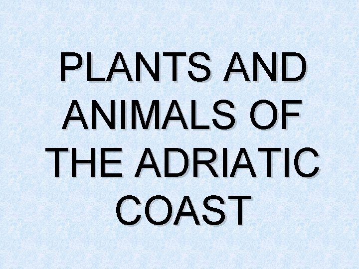 PLANTS AND ANIMALS OF THE ADRIATIC COAST 