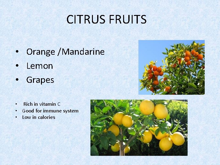 CITRUS FRUITS • Orange /Mandarine • Lemon • Grapes • Rich in vitamin C