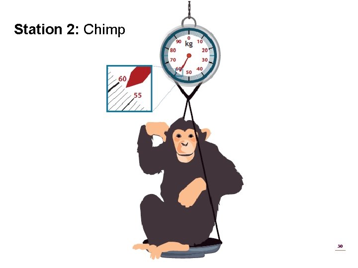 Station 2: Chimp 30 