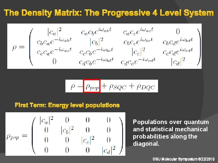 The Density Matrix: The Progressive 4 Level System First Term: Energy level populations Populations