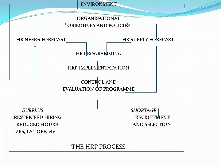 ENVIRONMENT ORGANISATIONAL OBJECTIVES AND POLICIES HR NEEDS FORECAST HR SUPPLY FORECAST HR PROGRAMMING HRP