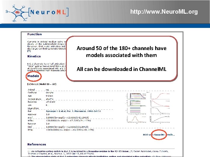 http: //www. Neuro. ML. org Around 50 of the 180+ channels have models associated