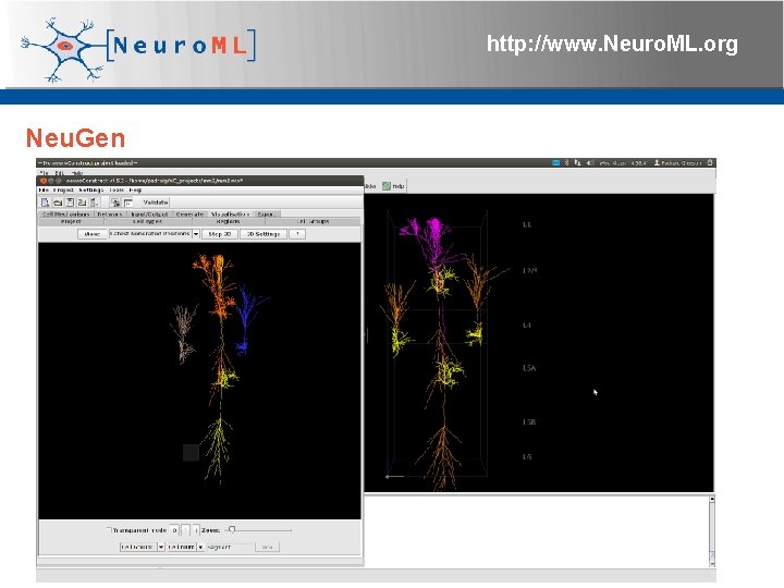 http: //www. Neuro. ML. org Neu. Gen 4 th Neuro. ML Development Workshop &