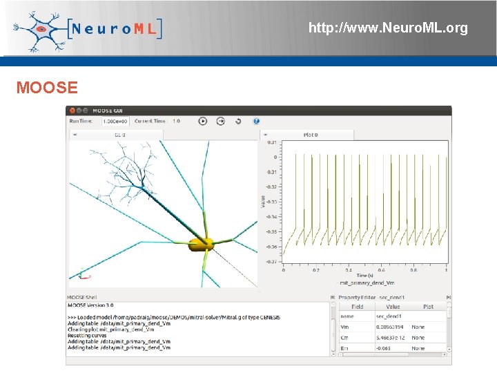 http: //www. Neuro. ML. org MOOSE 4 th Neuro. ML Development Workshop & Brain.