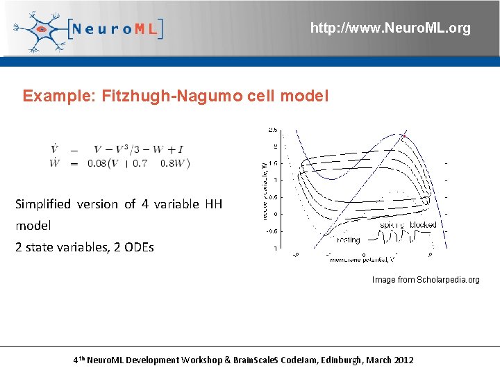 http: //www. Neuro. ML. org Example: Fitzhugh-Nagumo cell model Simplified version of 4 variable