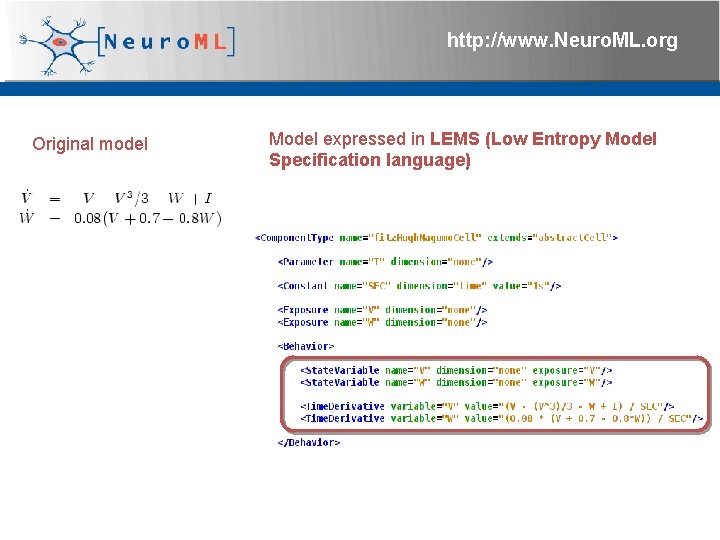 http: //www. Neuro. ML. org Original model Model expressed in LEMS (Low Entropy Model