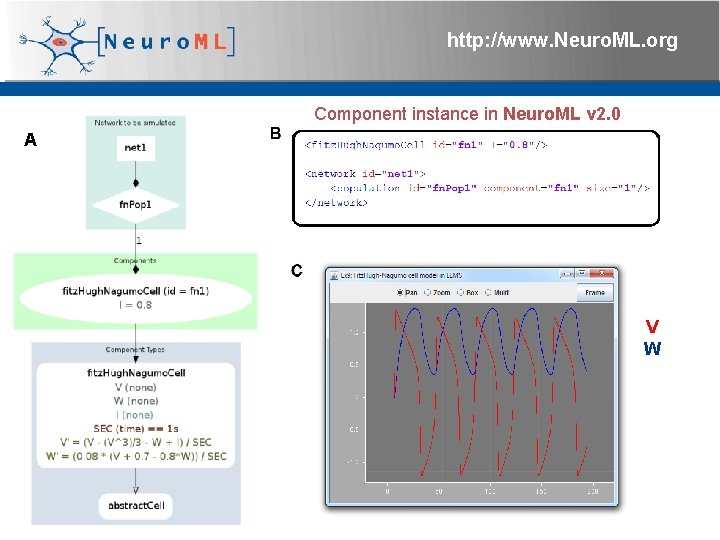 http: //www. Neuro. ML. org Component instance in Neuro. ML v 2. 0 A