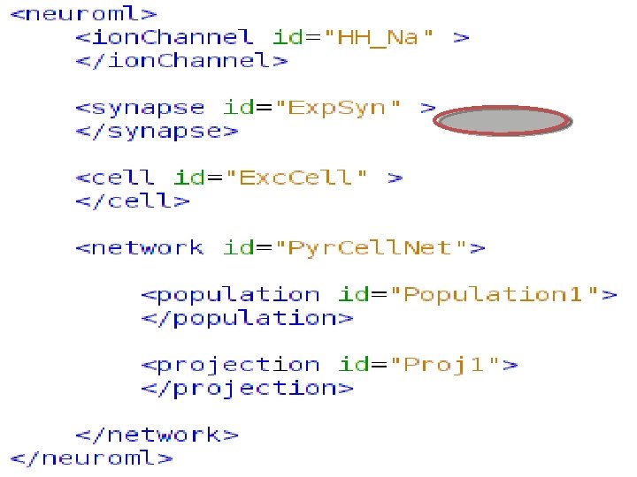 http: //www. Neuro. ML. org 4 th Neuro. ML Development Workshop & Brain. Scale.