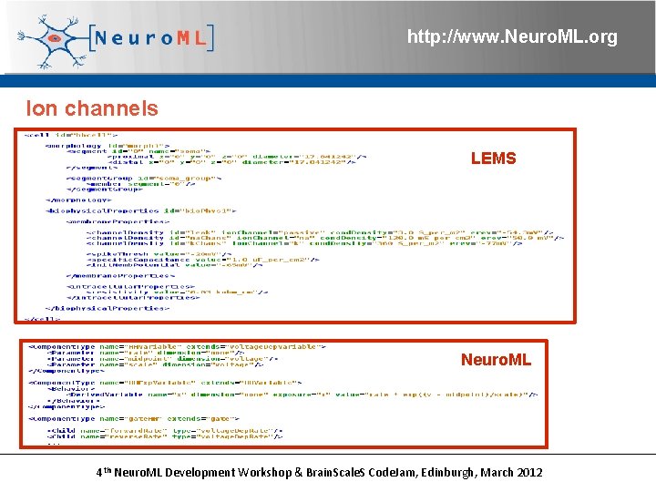 http: //www. Neuro. ML. org Ion channels LEMS Neuro. ML 4 th Neuro. ML