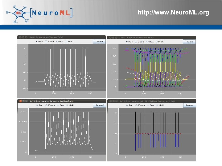 http: //www. Neuro. ML. org 4 th Neuro. ML Development Workshop & Brain. Scale.