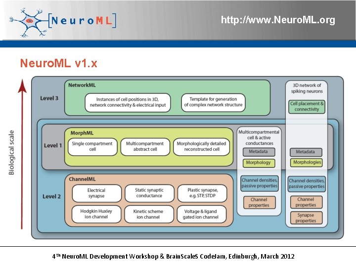 http: //www. Neuro. ML. org Neuro. ML v 1. x 4 th Neuro. ML