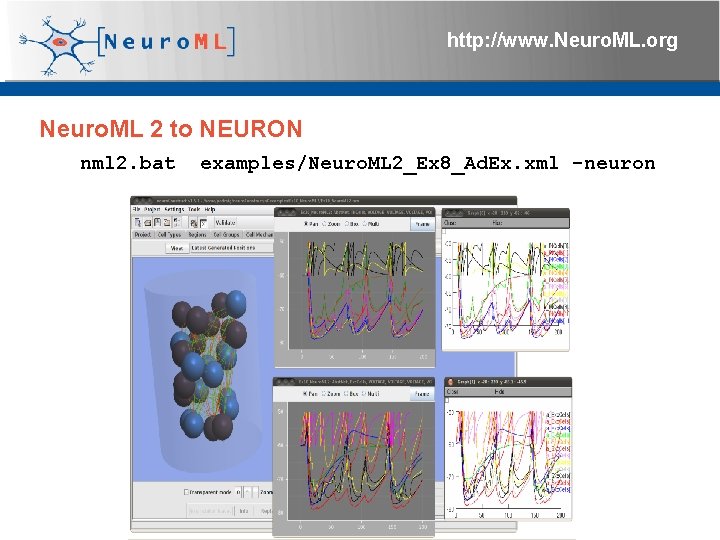 http: //www. Neuro. ML. org Neuro. ML 2 to NEURON nml 2. bat examples/Neuro.