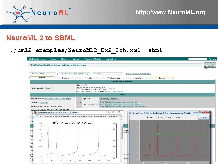 http: //www. Neuro. ML. org Neuro. ML 2 to SBML. /nml 2 examples/Neuro. ML