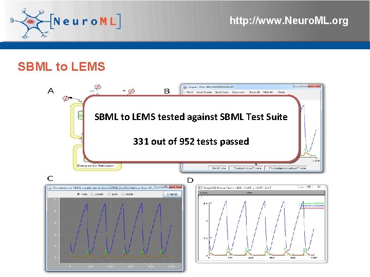 http: //www. Neuro. ML. org SBML to LEMS tested against SBML Test Suite 331