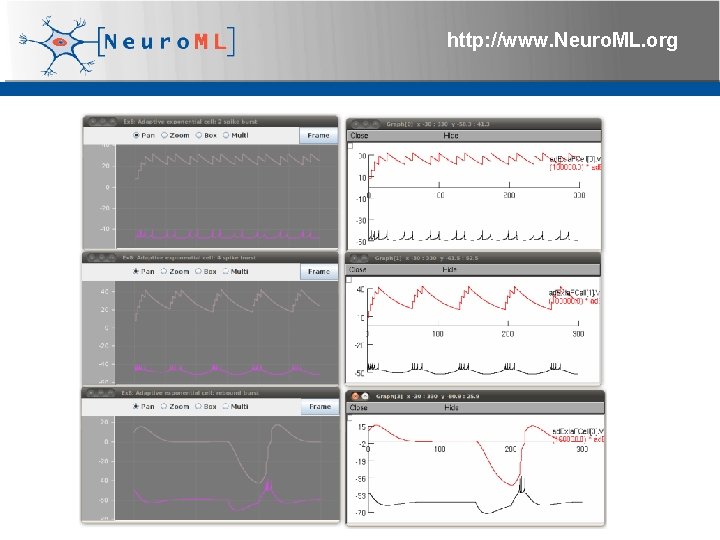 http: //www. Neuro. ML. org 4 th Neuro. ML Development Workshop & Brain. Scale.