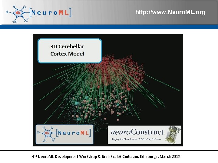 http: //www. Neuro. ML. org 4 th Neuro. ML Development Workshop & Brain. Scale.