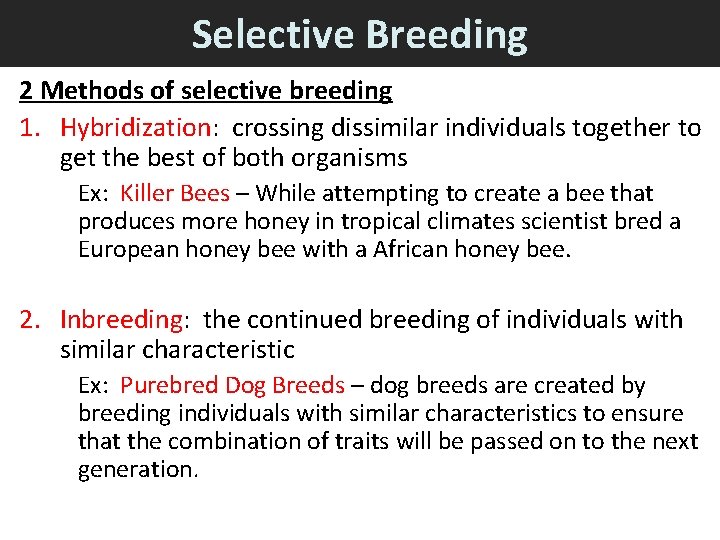 Selective Breeding 2 Methods of selective breeding 1. Hybridization: crossing dissimilar individuals together to