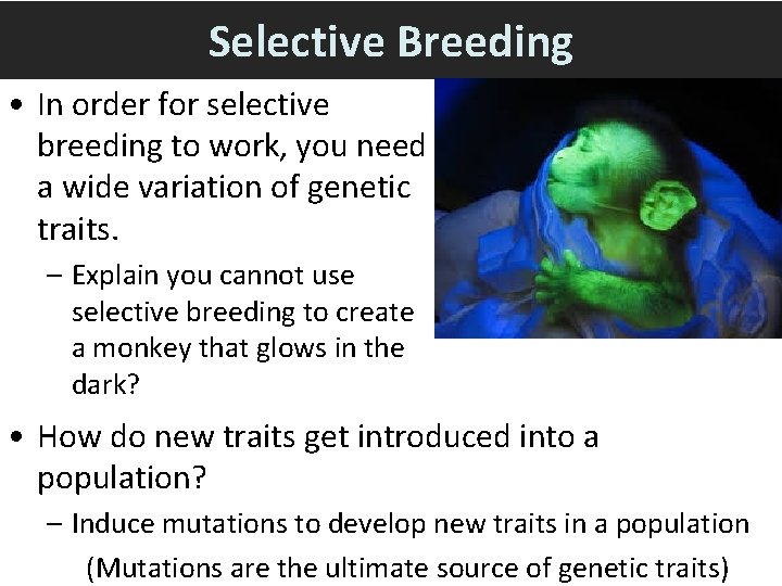 Selective Breeding • In order for selective breeding to work, you need a wide