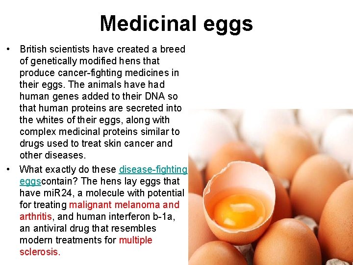 Medicinal eggs • British scientists have created a breed of genetically modified hens that