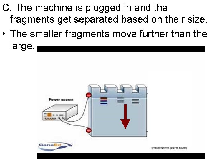 C. The machine is plugged in and the fragments get separated based on their