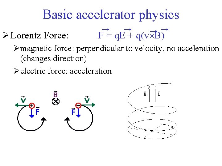 Basic accelerator physics Ø Lorentz Force: F = q. E + q(v B) Ømagnetic